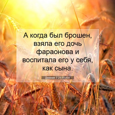 Picture 07 - Деяния 7:21 RUSV - А когда был брошен, взяла - Bible Verse Picture