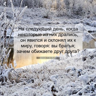 Picture 07 - Деяния 7:26 RUSV - На следующий день, когда - Bible Verse Picture