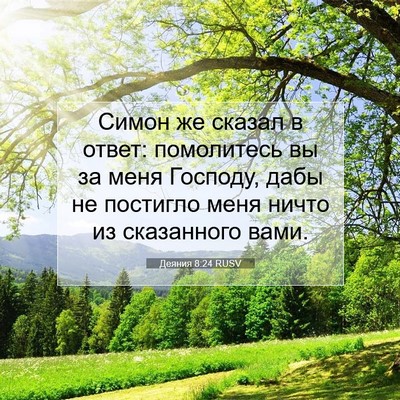 Picture 07 - Деяния 8:24 RUSV - Симон же сказал в ответ: - Bible Verse Picture
