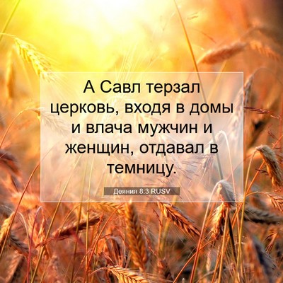 Picture 07 - Деяния 8:3 RUSV - А Савл терзал церковь, - Bible Verse Picture