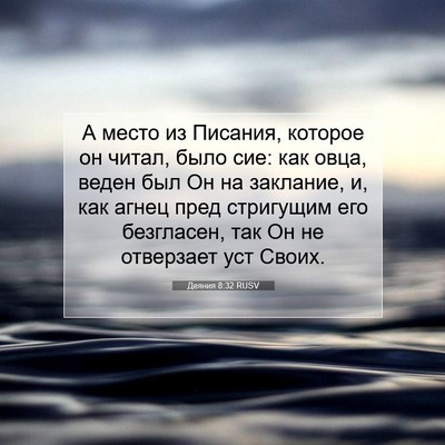 Picture 07 - Деяния 8:32 RUSV - А место из Писания, которое - Bible Verse Picture