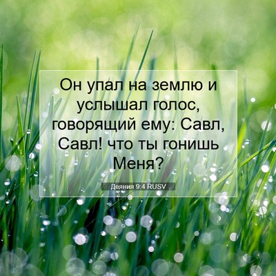 Picture 07 - Деяния 9:4 RUSV - Он упал на землю и услышал - Bible Verse Picture