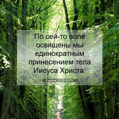Picture 07 - Евреям 10:10 RUSV - По сей-то воле освящены мы - Bible Verse Picture