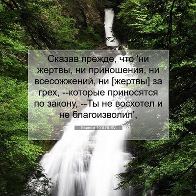 Picture 07 - Евреям 10:8 RUSV - Сказав прежде, что 'ни - Bible Verse Picture