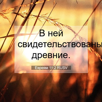Picture 07 - Евреям 11:2 RUSV - В ней свидетельствованы - Bible Verse Picture