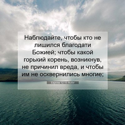 Picture 07 - Евреям 12:15 RUSV - Наблюдайте, чтобы кто не - Bible Verse Picture