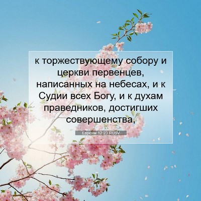 Picture 07 - Евреям 12:23 RUSV - к торжествующему собору и - Bible Verse Picture