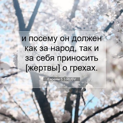 Picture 07 - Евреям 5:3 RUSV - и посему он должен как за - Bible Verse Picture