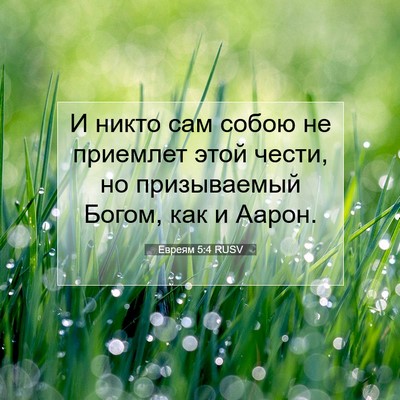 Picture 07 - Евреям 5:4 RUSV - И никто сам собою не - Bible Verse Picture