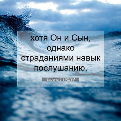 Picture 07 - Евреям 5:8 RUSV - хотя Он и Сын, однако - Bible Verse Picture