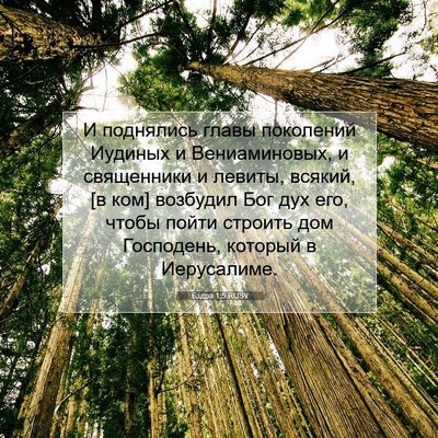 Picture 07 - Ездра 1:5 RUSV - И поднялись главы - Bible Verse Picture