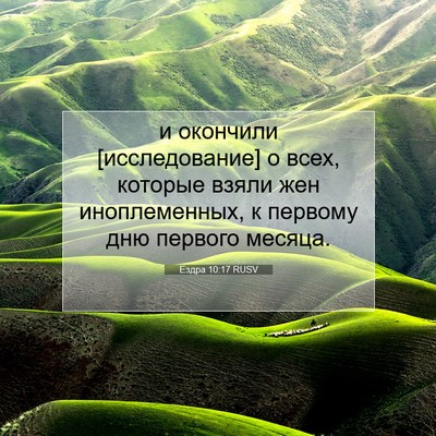 Picture 07 - Ездра 10:17 RUSV - и окончили [исследование] о - Bible Verse Picture
