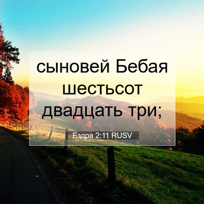 Picture 07 - Ездра 2:11 RUSV - сыновей Бебая шестьсот - Bible Verse Picture