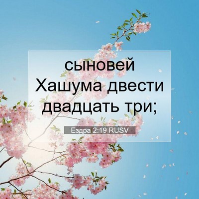 Picture 07 - Ездра 2:19 RUSV - сыновей Хашума двести - Bible Verse Picture