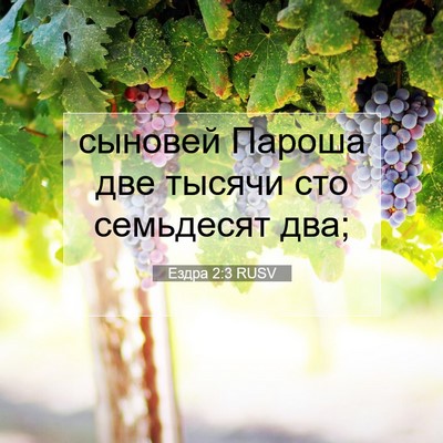 Picture 07 - Ездра 2:3 RUSV - сыновей Пароша две тысячи - Bible Verse Picture