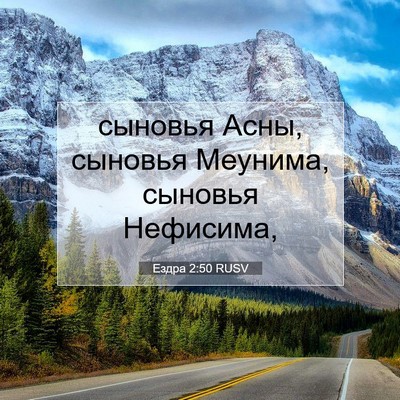 Picture 07 - Ездра 2:50 RUSV - сыновья Асны, сыновья - Bible Verse Picture