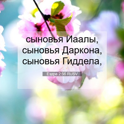 Picture 07 - Ездра 2:56 RUSV - сыновья Иаалы, сыновья - Bible Verse Picture