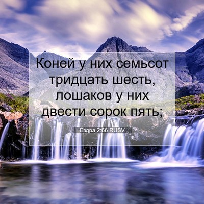 Picture 07 - Ездра 2:66 RUSV - Коней у них семьсот - Bible Verse Picture