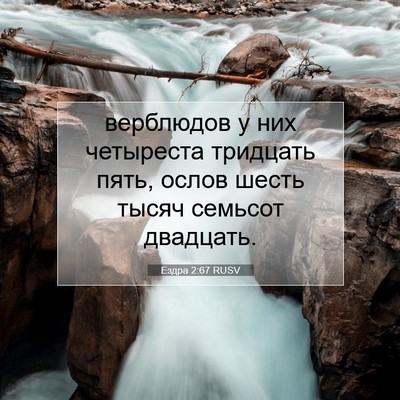 Picture 07 - Ездра 2:67 RUSV - верблюдов у них четыреста - Bible Verse Picture