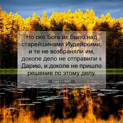 Picture 07 - Ездра 5:5 RUSV - Но око Бога их было над - Bible Verse Picture