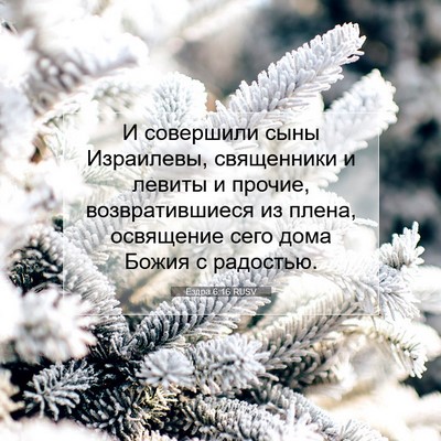 Picture 07 - Ездра 6:16 RUSV - И совершили сыны - Bible Verse Picture