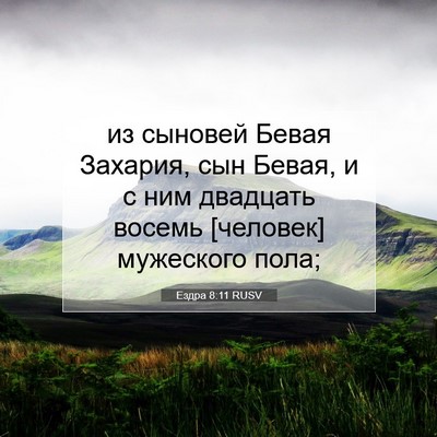 Picture 07 - Ездра 8:11 RUSV - из сыновей Бевая Захария, - Bible Verse Picture