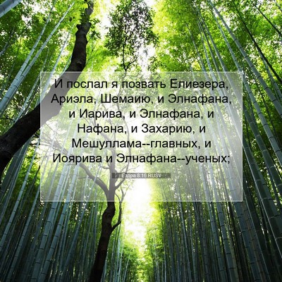 Picture 07 - Ездра 8:16 RUSV - И послал я позвать - Bible Verse Picture