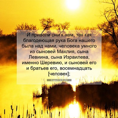 Picture 07 - Ездра 8:18 RUSV - И привели они к нам, так как - Bible Verse Picture