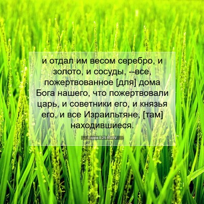 Picture 07 - Ездра 8:25 RUSV - и отдал им весом серебро, и - Bible Verse Picture