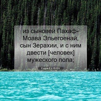 Picture 07 - Ездра 8:4 RUSV - из сыновей Пахаф-Моава - Bible Verse Picture