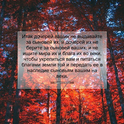 Picture 07 - Ездра 9:12 RUSV - Итак дочерей ваших не - Bible Verse Picture