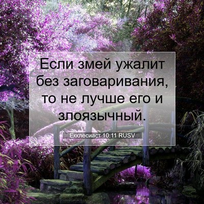 Picture 07 - Екклесиаст 10:11 RUSV - Если змей ужалит без - Bible Verse Picture