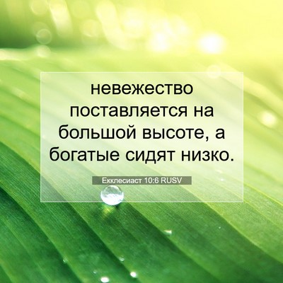 Picture 07 - Екклесиаст 10:6 RUSV - невежество поставляется - Bible Verse Picture