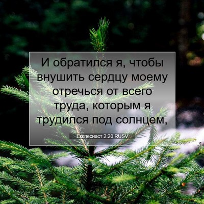 Picture 07 - Екклесиаст 2:20 RUSV - И обратился я, чтобы - Bible Verse Picture