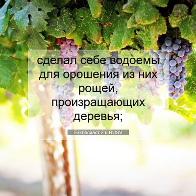 Picture 07 - Екклесиаст 2:6 RUSV - сделал себе водоемы для - Bible Verse Picture