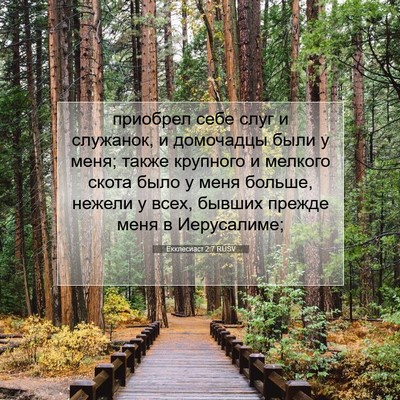 Picture 07 - Екклесиаст 2:7 RUSV - приобрел себе слуг и - Bible Verse Picture