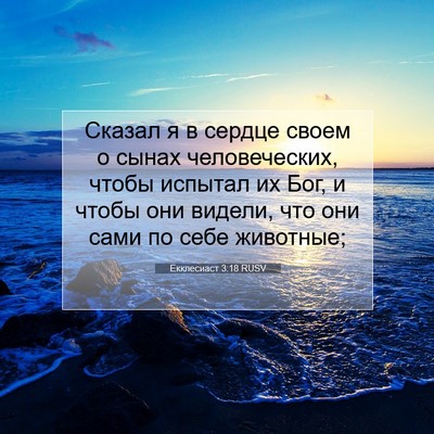 Picture 07 - Екклесиаст 3:18 RUSV - Сказал я в сердце своем о - Bible Verse Picture