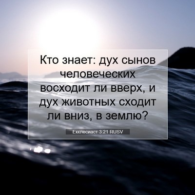 Picture 07 - Екклесиаст 3:21 RUSV - Кто знает: дух сынов - Bible Verse Picture