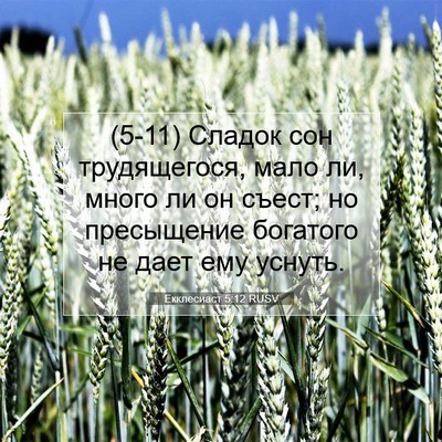 Picture 07 - Екклесиаст 5:12 RUSV - (5-11) Сладок сон - Bible Verse Picture