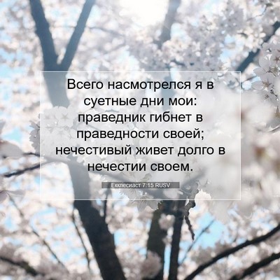 Picture 07 - Екклесиаст 7:15 RUSV - Всего насмотрелся я в - Bible Verse Picture