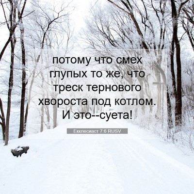 Picture 07 - Екклесиаст 7:6 RUSV - потому что смех глупых то - Bible Verse Picture