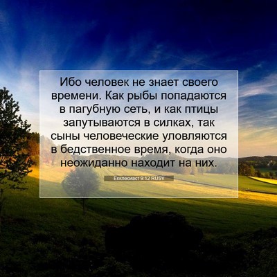 Picture 07 - Екклесиаст 9:12 RUSV - Ибо человек не знает - Bible Verse Picture