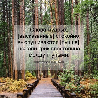 Picture 07 - Екклесиаст 9:17 RUSV - Слова мудрых, [высказанные] - Bible Verse Picture