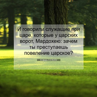 Picture 07 - Есфирь 3:3 RUSV - И говорили служащие при - Bible Verse Picture
