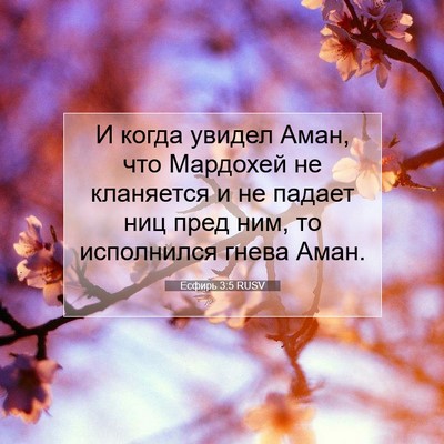 Picture 07 - Есфирь 3:5 RUSV - И когда увидел Аман, что - Bible Verse Picture