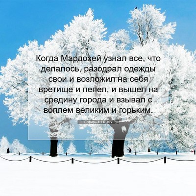 Picture 07 - Есфирь 4:1 RUSV - Когда Мардохей узнал все, - Bible Verse Picture