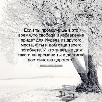Picture 07 - Есфирь 4:14 RUSV - Если ты промолчишь в это - Bible Verse Picture