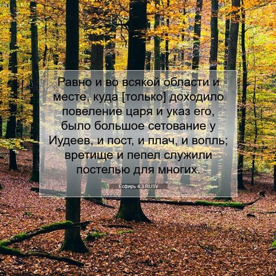 Picture 07 - Есфирь 4:3 RUSV - Равно и во всякой области и - Bible Verse Picture