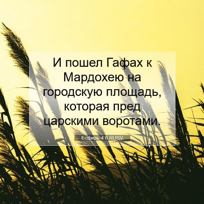 Picture 07 - Есфирь 4:6 RUSV - И пошел Гафах к Мардохею на - Bible Verse Picture
