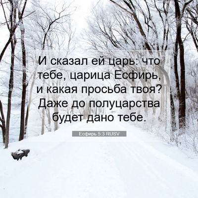 Picture 07 - Есфирь 5:3 RUSV - И сказал ей царь: что тебе, - Bible Verse Picture
